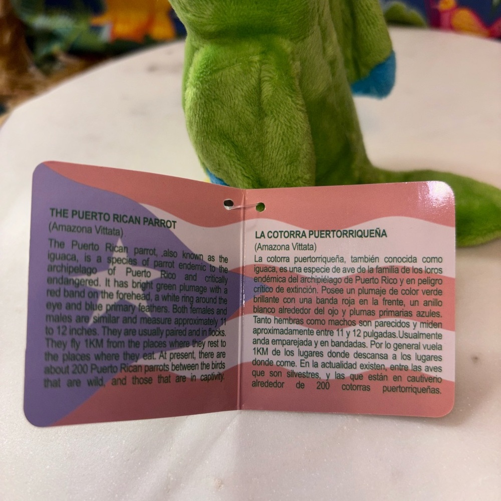 LA COTORRA DE PUERTO RICO KEYCHAIN - Picture 4 of 4